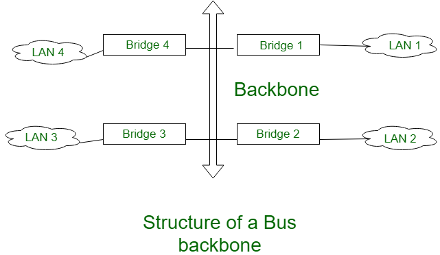 What Is Backbone Network?