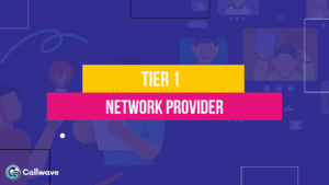 Tier 1 Network Provider